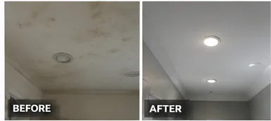 Plaster ceiling and wall repair in an old Philadelphia home